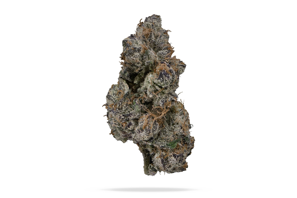 Blue Nerdz Hybrid