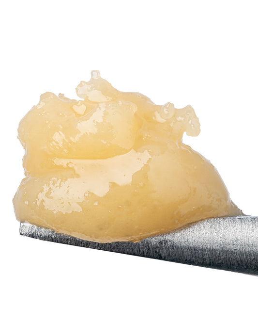 Granddaddy Purple Badder (80.00% THCa)