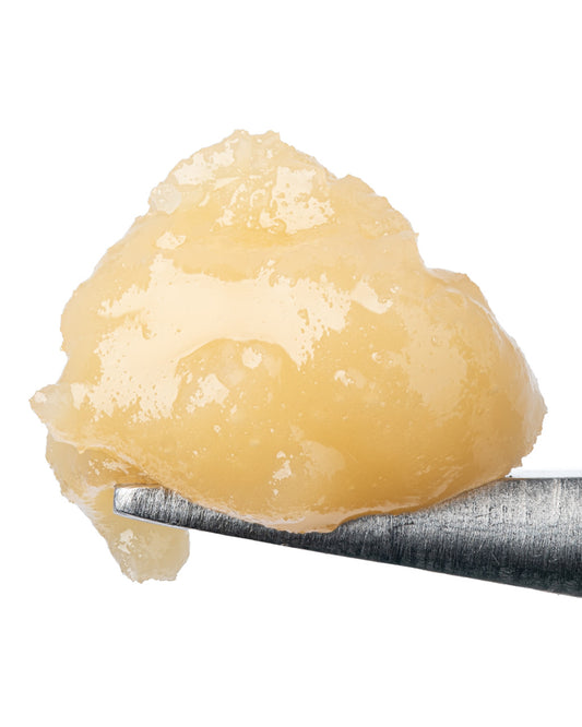 Jack Herer Badder (81.000% THCa)