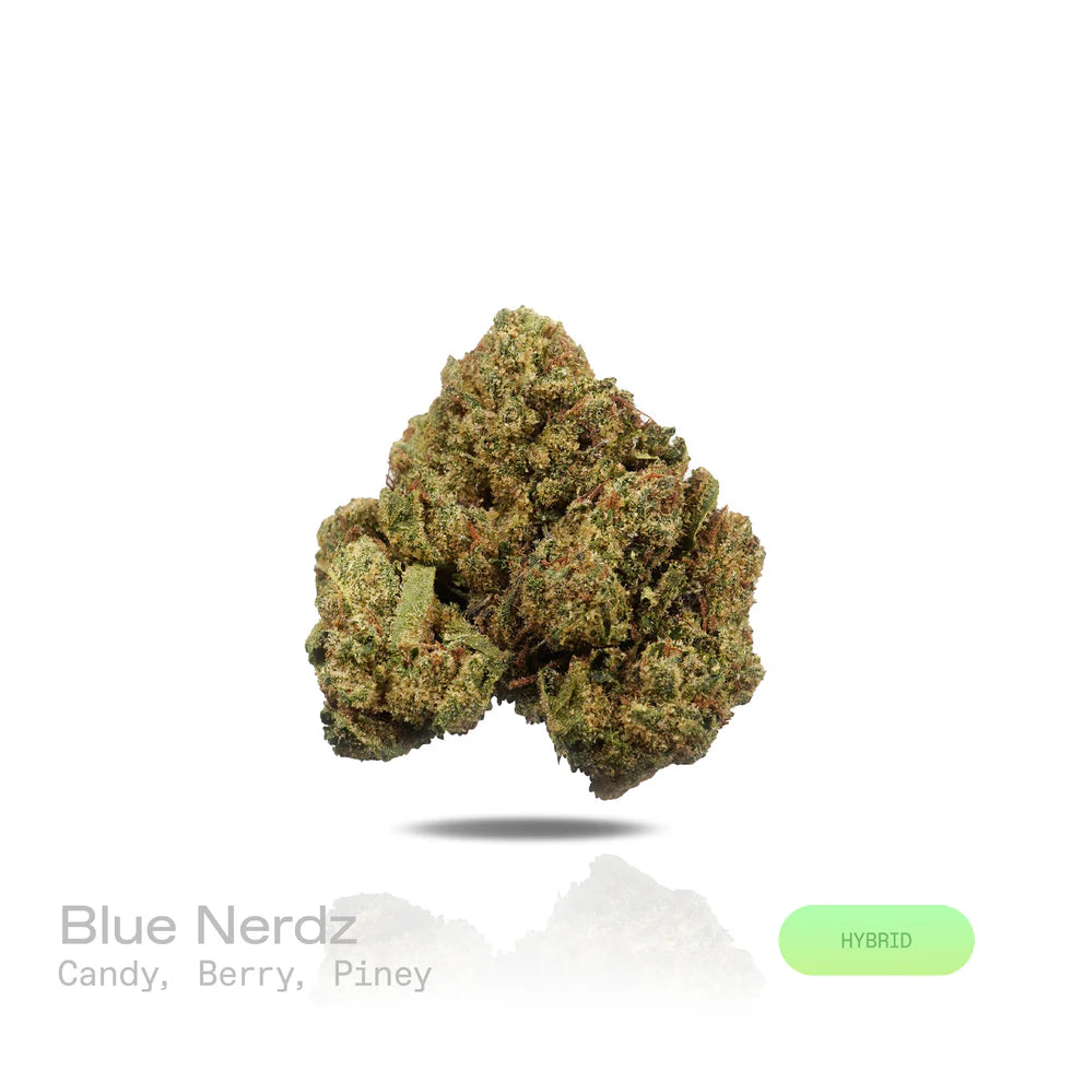 THC-A Flower - Blue Nerdz - (Indoor) (Hybrid)