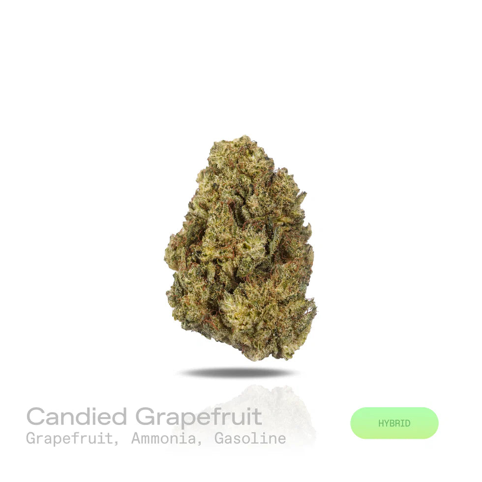 Candied Grapefruit - (Indoor) (Hybrid)