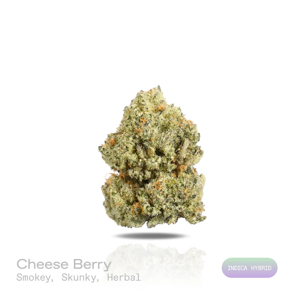 Cheese Berry - (Exotic) (Indica Hybrid)