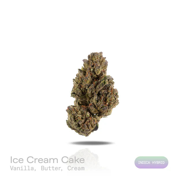 Ice Cream Cake (Indoor Hybrid)