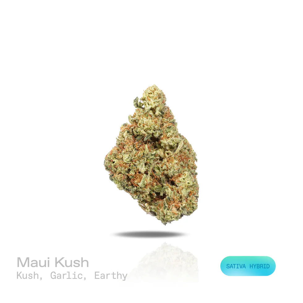 Maui Kush - (Indoor) (Sativa Hybrid)
