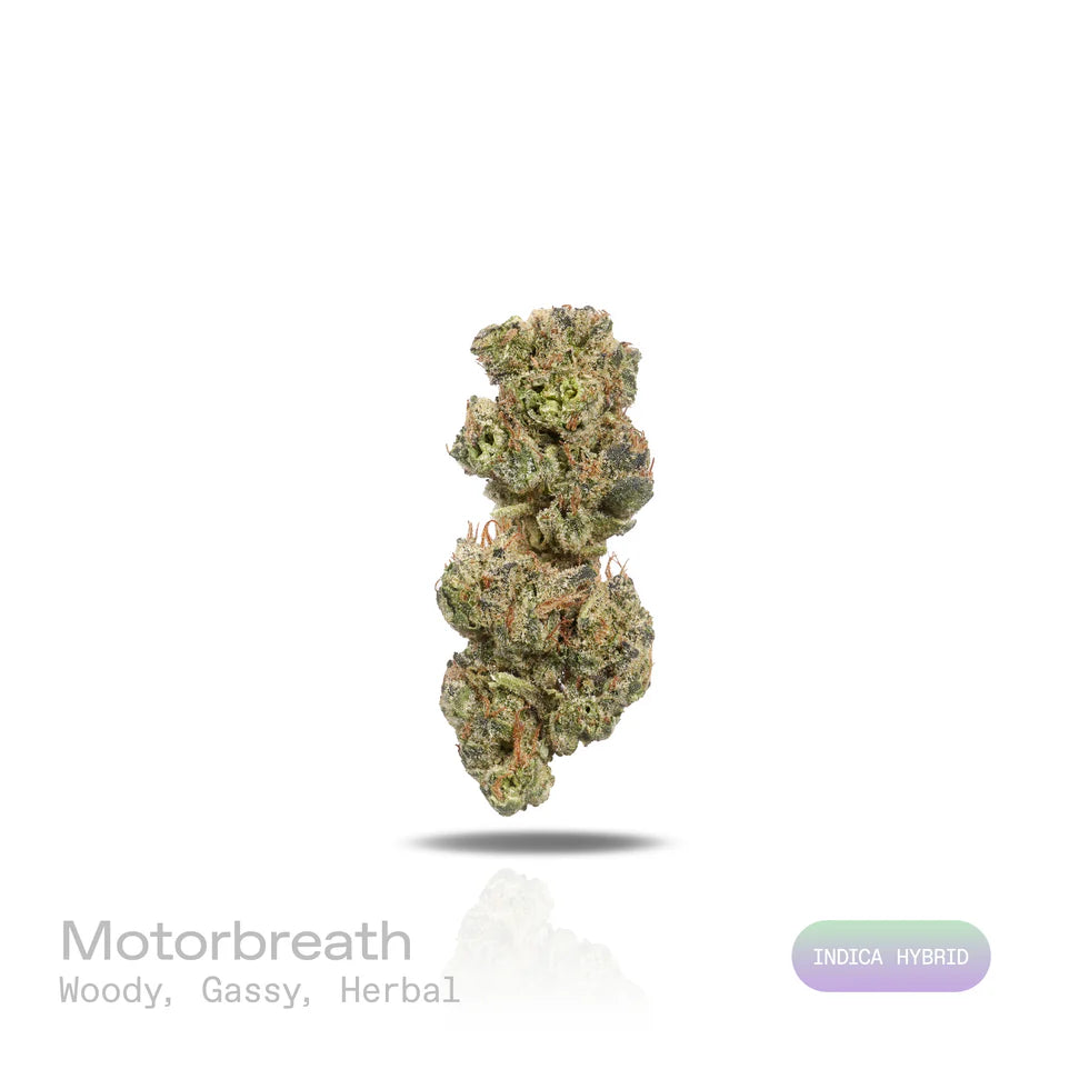 Motorbreath - (Indoor) (Indica Hybrid)