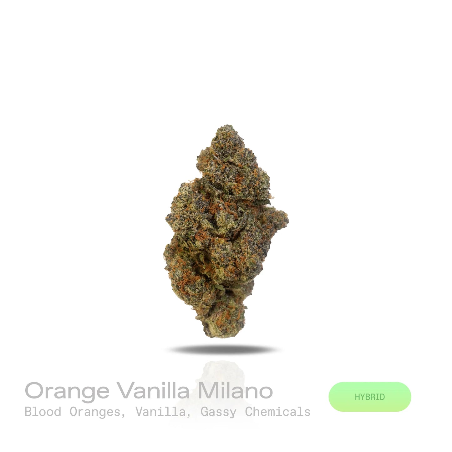 THC-A Flower - Orange Vanilla Milano (Exotic) (Sativa Hybrid)