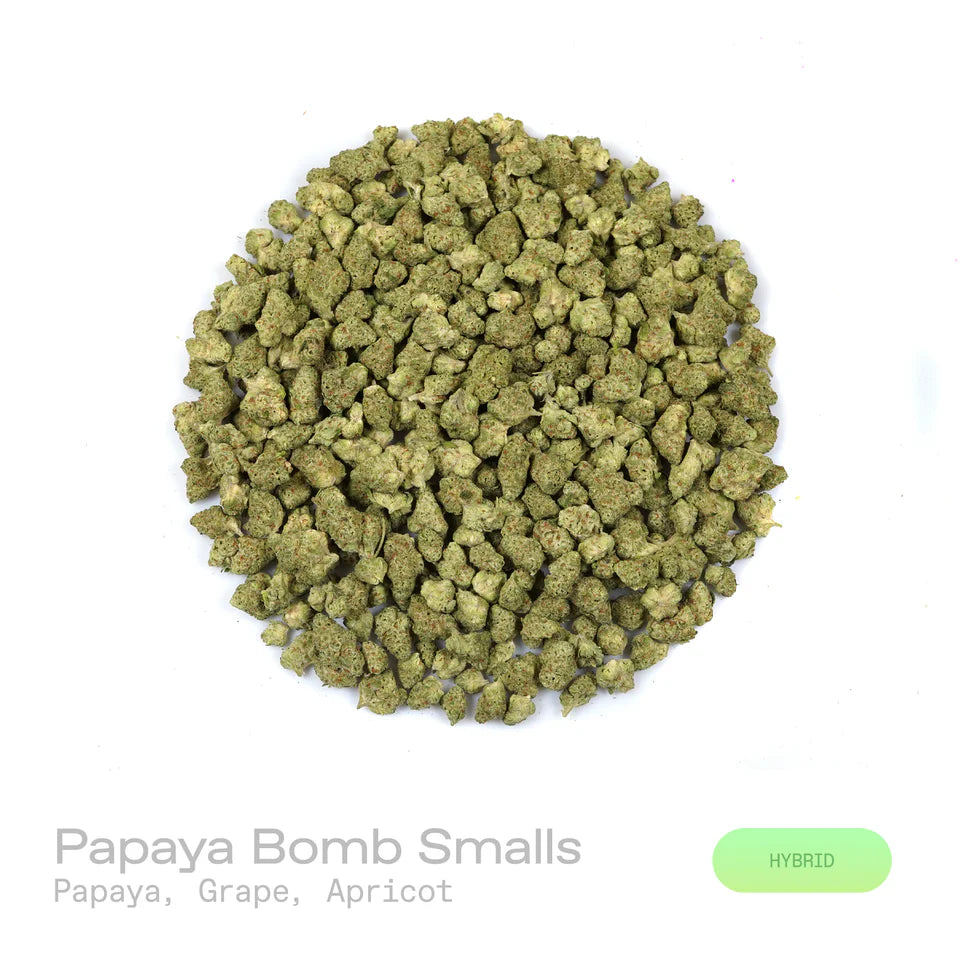 Papaya Bomb - (Indoor) (Hybrid)