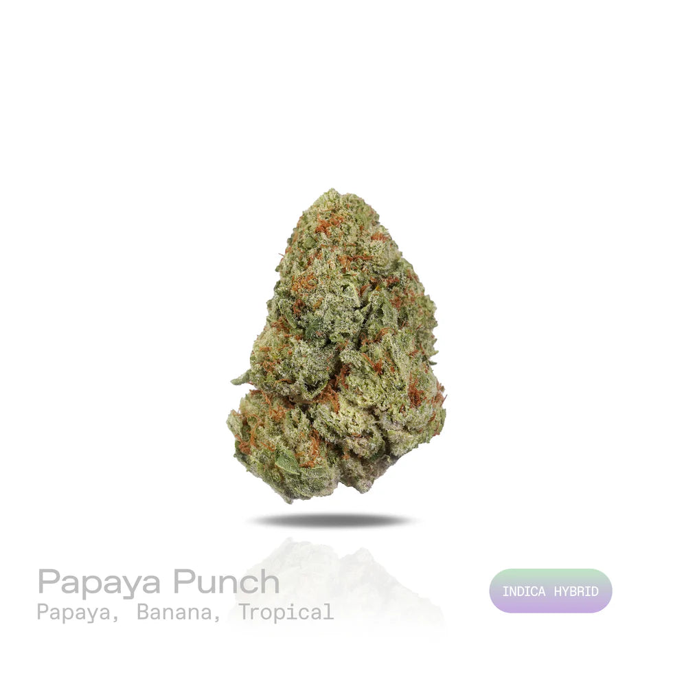 Papaya Punch - (Indoor) (Indica Hybrid)