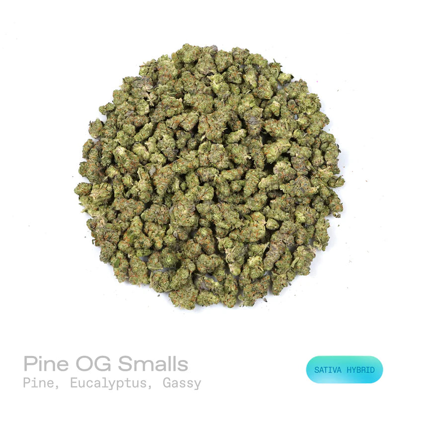 Pine OG - (Indoor) (Sativa Hybrid)