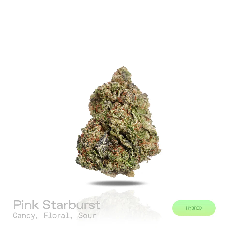 THC-A Flower - Pink Starburst - (Indoor) (Hybrid)