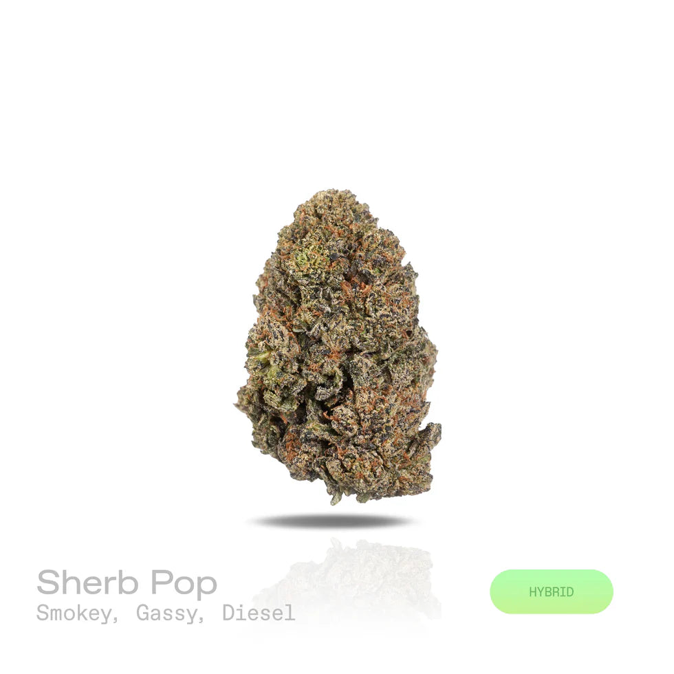 Sherb Pop - (Indoor) (Hybrid)