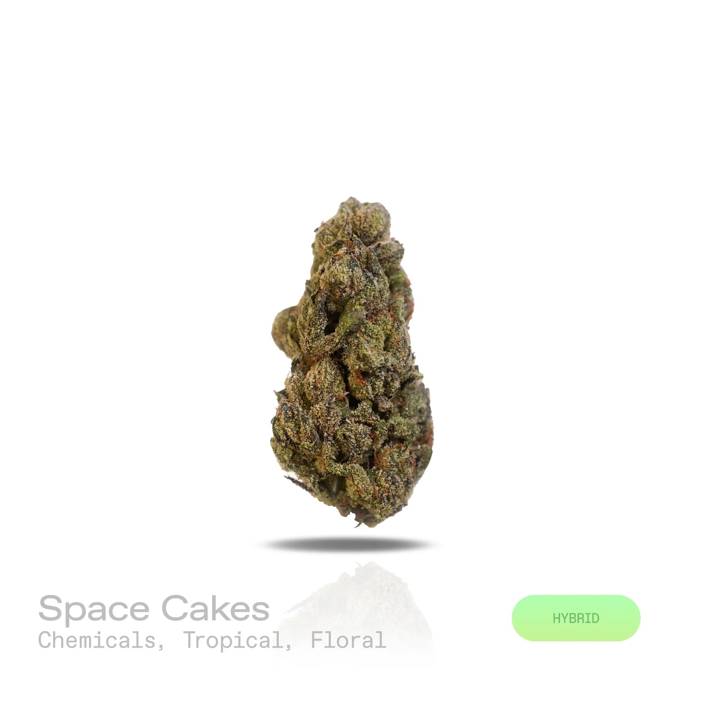 THC-A Flower - Space Cakes (Indoor) (Hybrid)