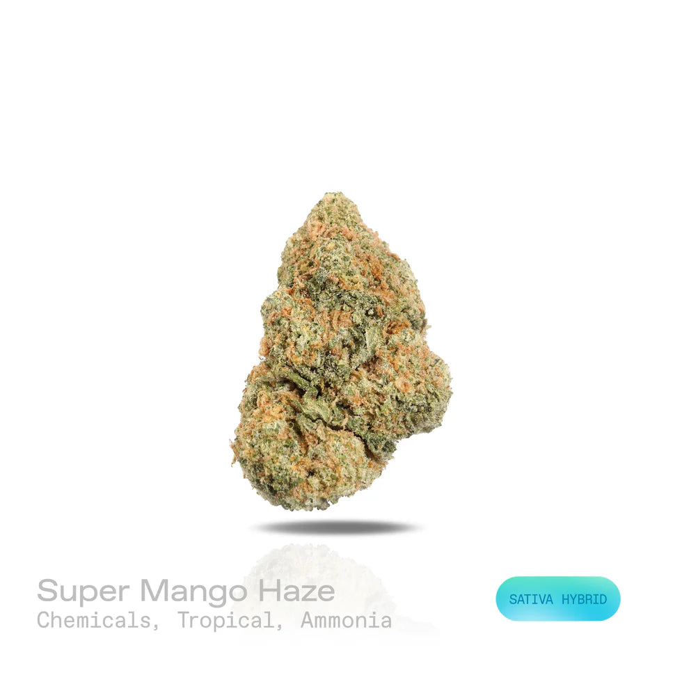 Super Mango Haze - (Indoor) (Sativa Hybrid)