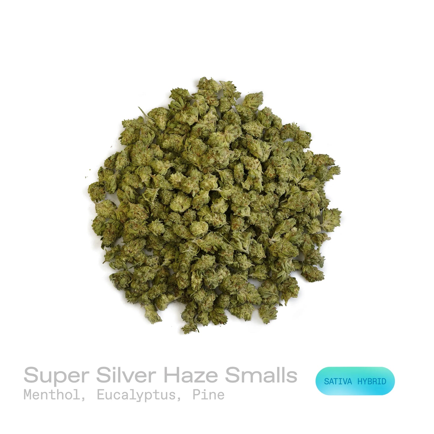 THC-A Flower - Super Silver Haze (Indoor) (Sativa Hybrid)