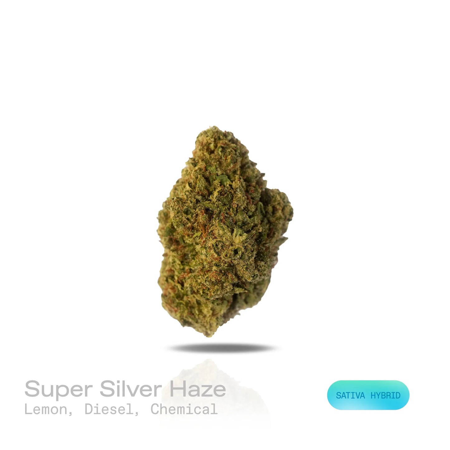 THC-A Flower - Super Silver Haze (Indoor) (Sativa Hybrid)