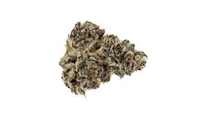 WHITE TRUFFLE (PREMIER)