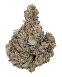 Afghan Kush (Premier Indica)