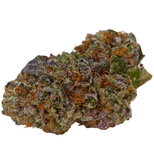 Dr Pepper Exotic Indica