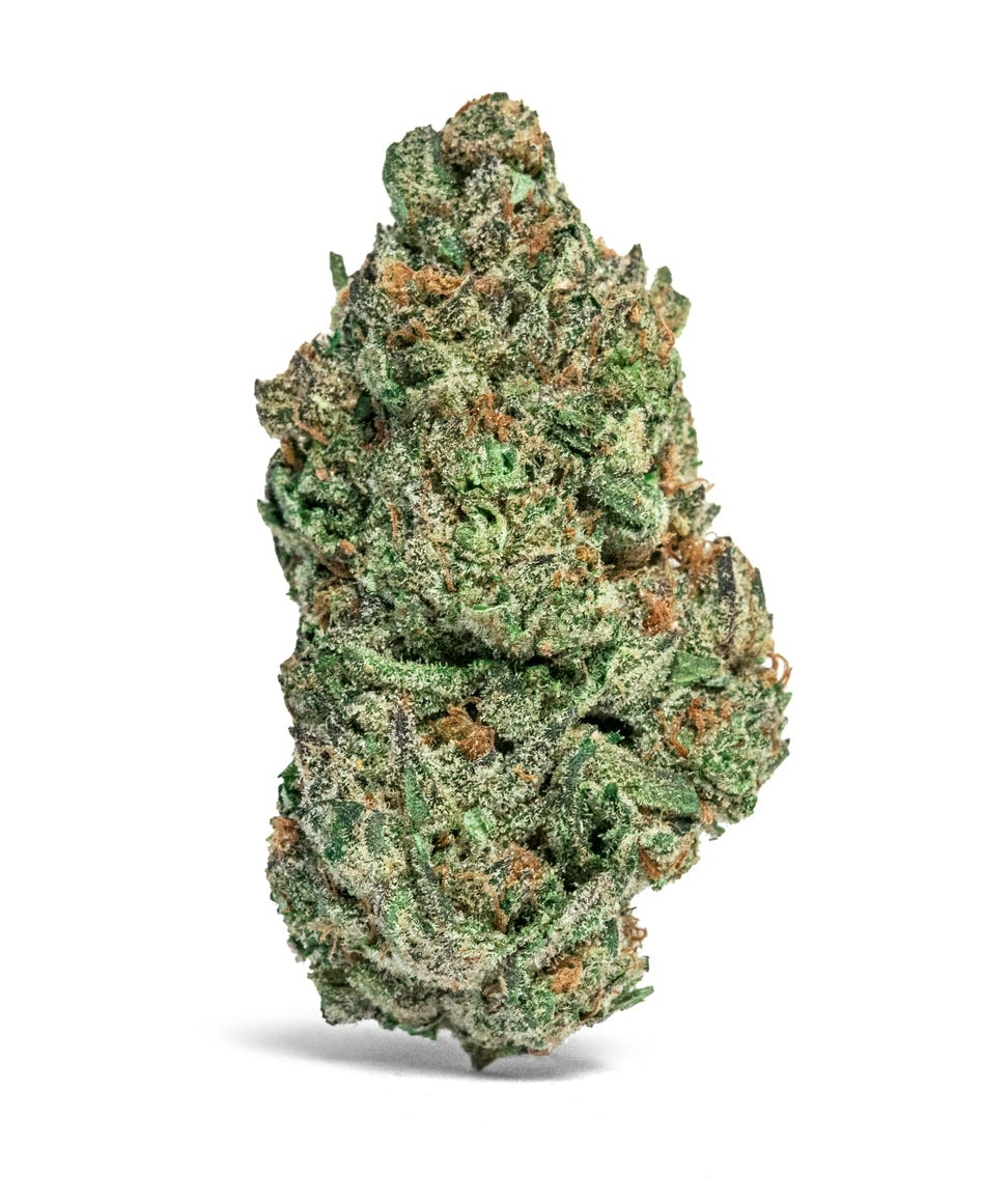 Elektra Ice (Indoor Hybrid)50/50