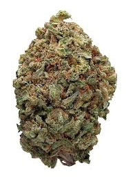 Fruity Pebbles (Indoor Hybrid)