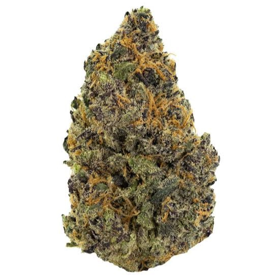 Gelato Candy (Indoor Hybrid 50/50)