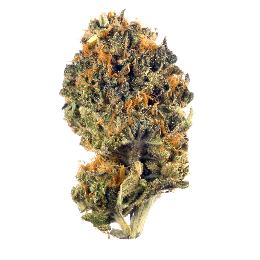 Granimals (Indoor) (indica)