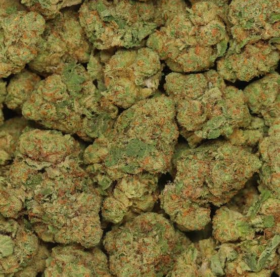Menthol OG (Indoor Hybrid)