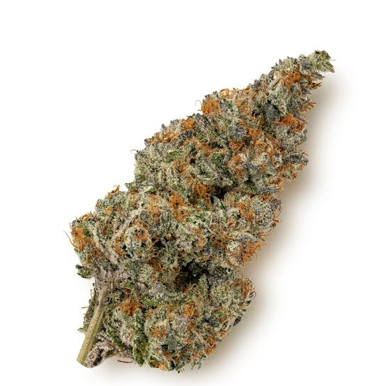 O.G. (EXOTIC HYBRID)