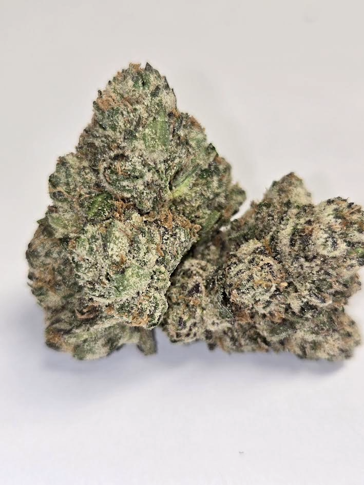 Lemon Cherry Gelato (PREMIER EXOTIC) (HYBRID)
