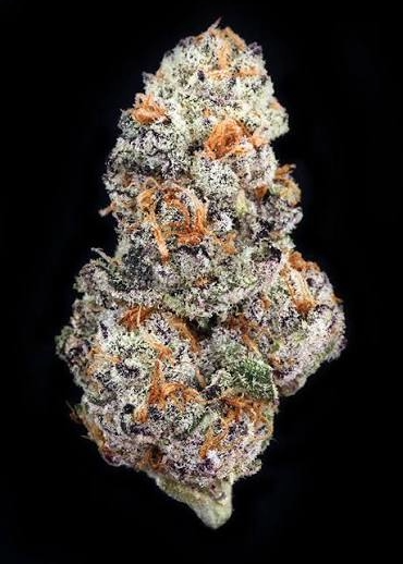 PEANUT BUTTER BREATH (PREMIER HYBRID)
