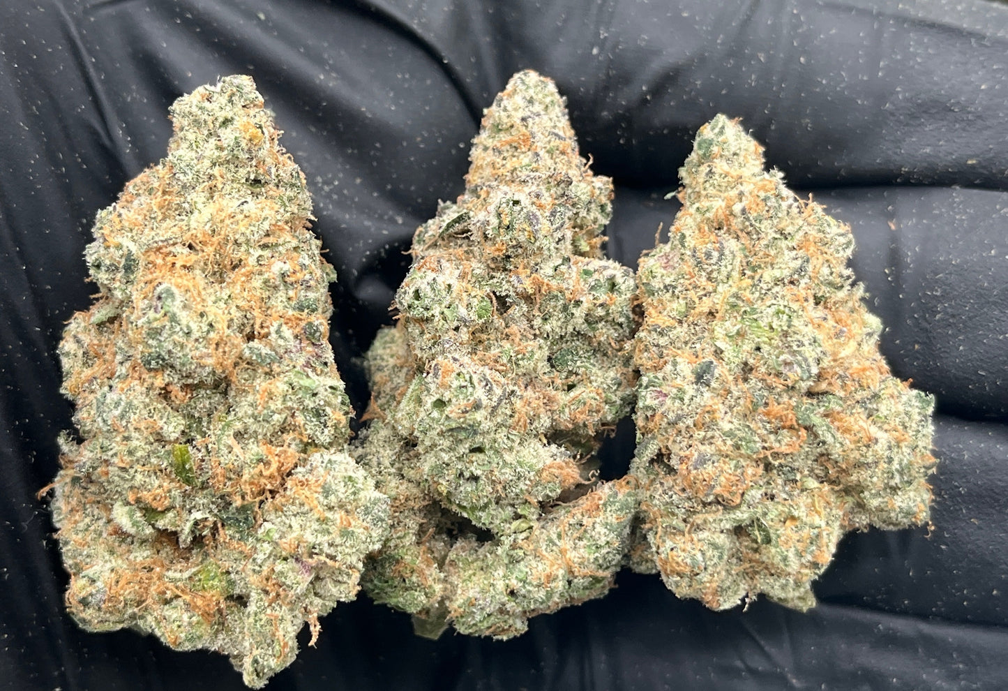 SUPER BOOF (PREMIER