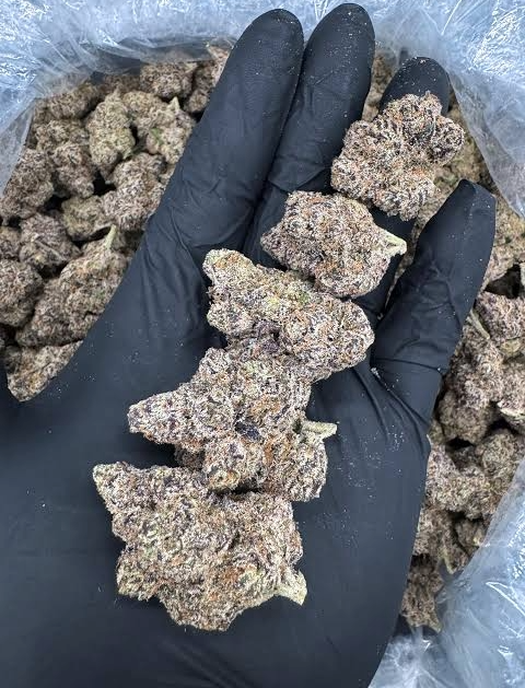 Super Runtz (PREMIER HYBRID)
