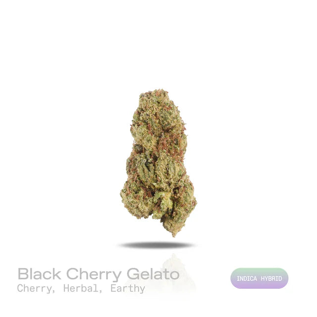 THC-A Flower - Black Cherry Gelato - (Indoor) (Indica Hybrid)