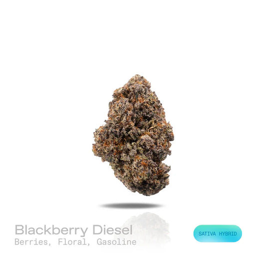 THC-A Flower - Blackberry Diesel - (Exotic) (Sativa Hybrid)
