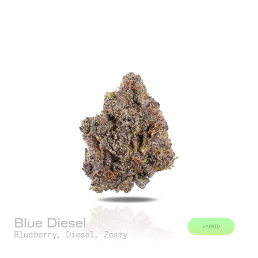 THC-A Flower - Blue Diesel - (Indoor) (Hybrid)