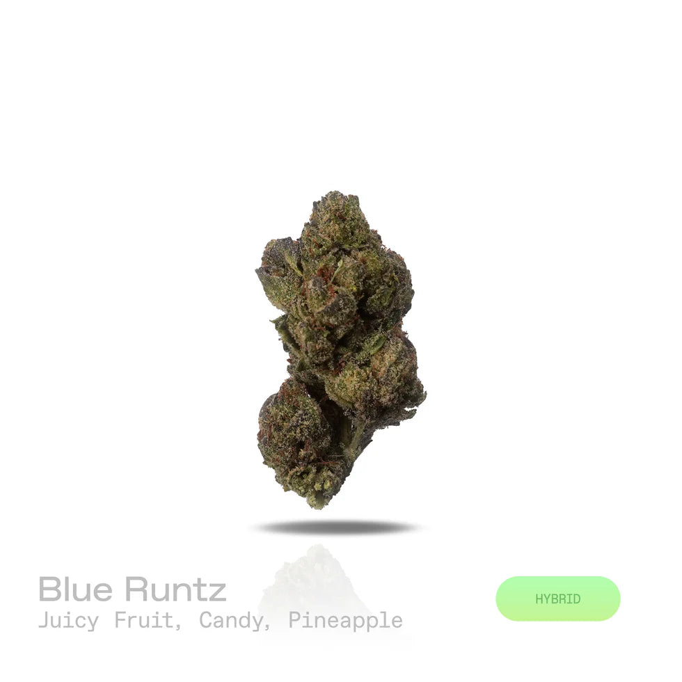 THC-A Flower - Blue Runtz - (Indoor) (Hybrid)