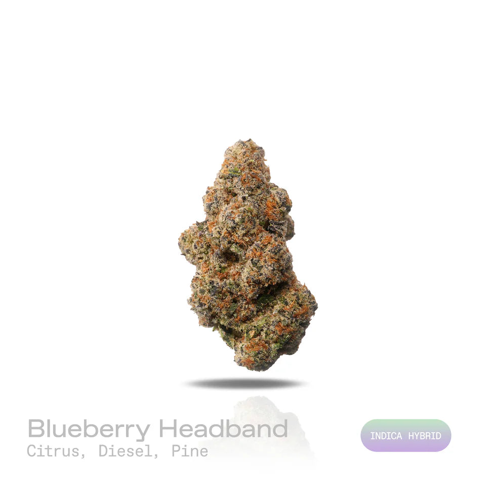 THC-A Flower - Blueberry Headband - (Exotic) (Indica Hybrid)