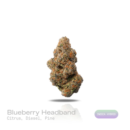 THC-A Flower - Blueberry Headband - (Exotic) (Indica Hybrid)