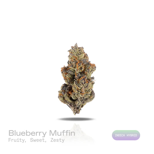 THC-A Flower - Blueberry Muffin - (Exotic) (Indica Hybrid)