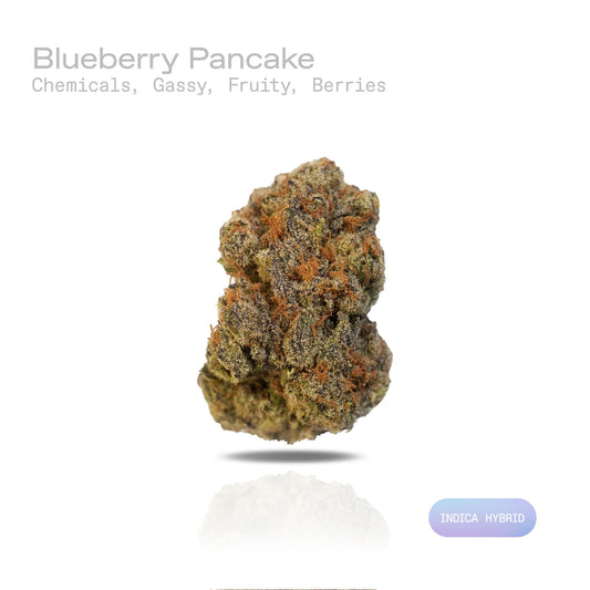 THC-A Flower - Blueberry Pancake (Exotic) (Indica Hybrid)