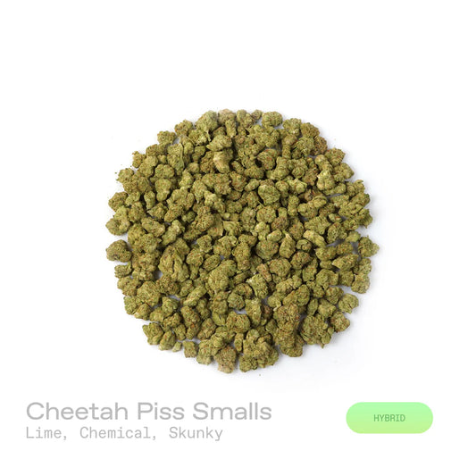 Cheetah Piss - (Indoor) (Hybrid)