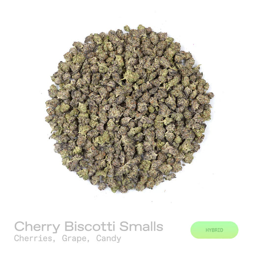 Cherry Biscotti - (Indoor) (Hybrid)