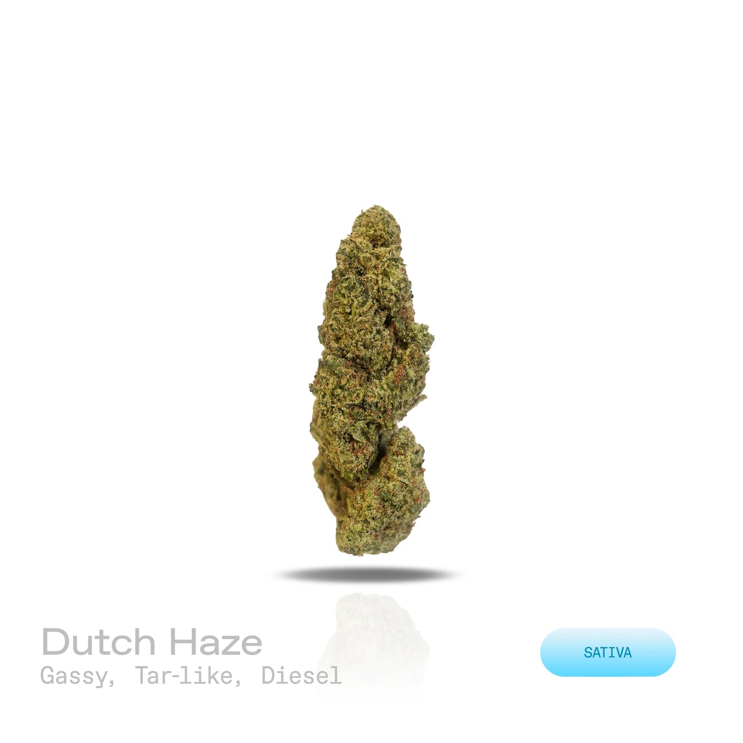 THC-A Flower - Dutch Haze (Indoor) (Sativa)