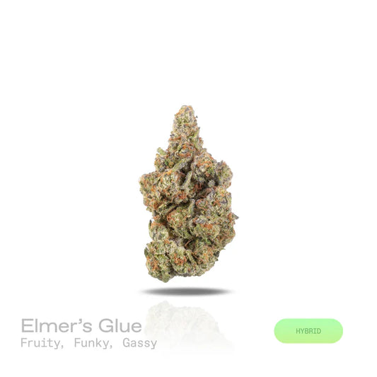 Elmer's Glue - (Exotic) (Hybrid)