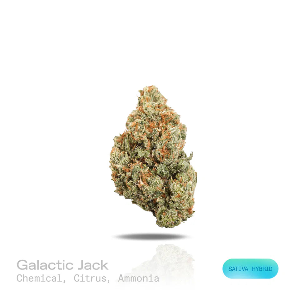 Galactic Jack - (Exotic) (Sativa Hybrid)