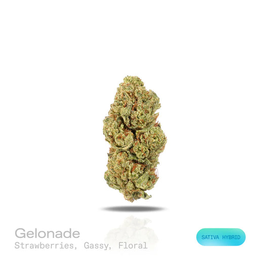 Gelonade - (Indoor) (Sativa Hybrid)