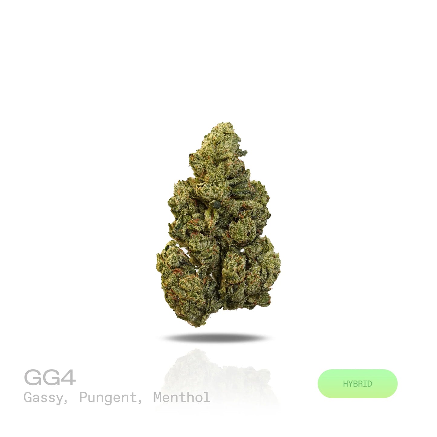 THC-A Flower - GG4 (Indoor) (Hybrid)