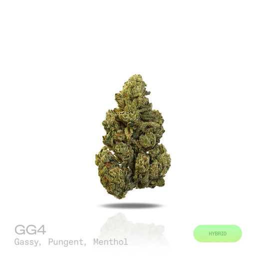 THC-A Flower - GG4 (Indoor) (Hybrid)