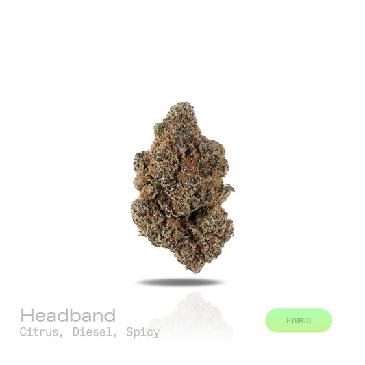 THC-A Flower - Headband - (Exotic) (Hybrid)