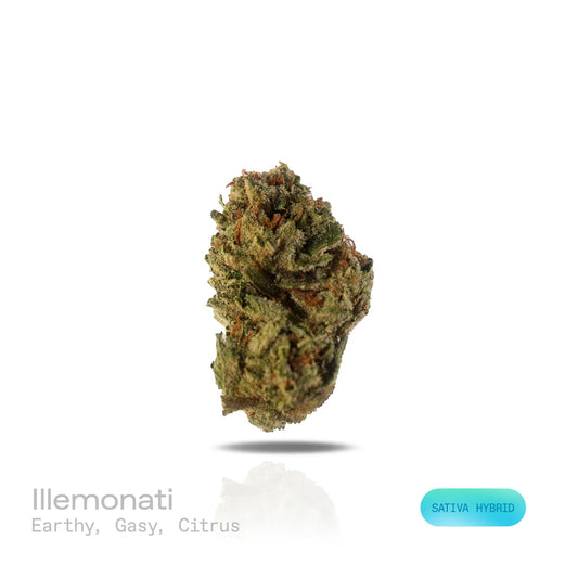 THC-A Flower - Illemonati (Indoor) (Sativa Hybrid)